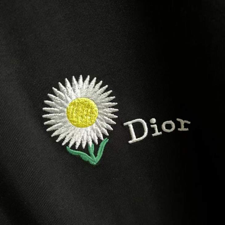 Dior T Shirts Short _SKUDiorS-2XLhgntx10516096